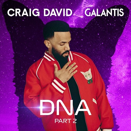 DNA Craig David, Galantis