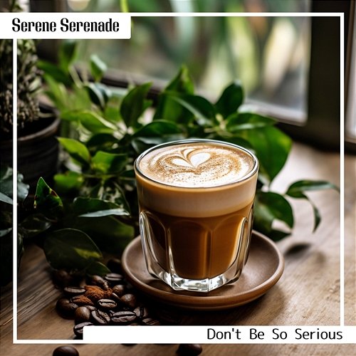 Do N't Be So Serious Serene Serenade