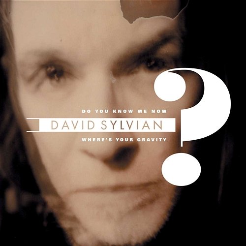 Do You Know Me Now? David Sylvian
