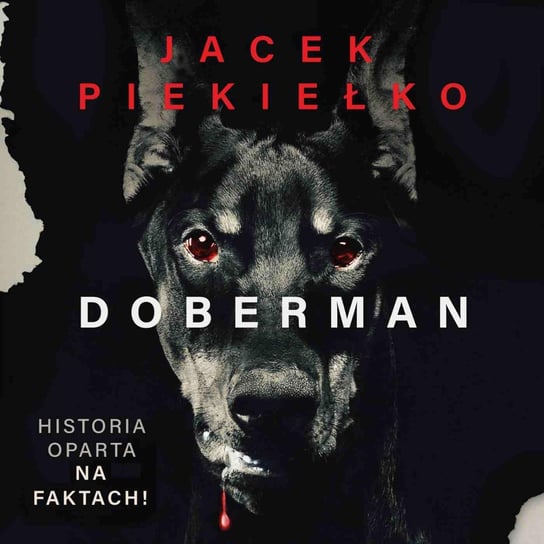 Doberman Piekiełko Jacek