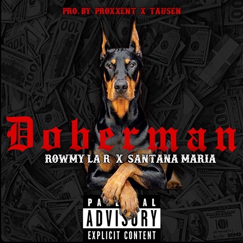 Doberman Rowmy La R & Santana Maria
