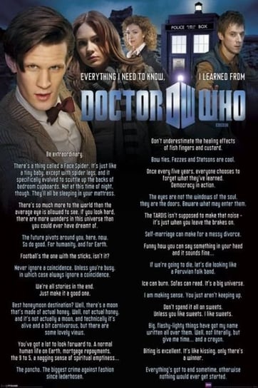 Doctor Who Everything I Know - plakat 61x91,5 cm Doktor Who