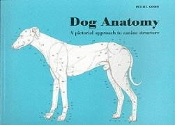 Dog Anatomy Goody Peter