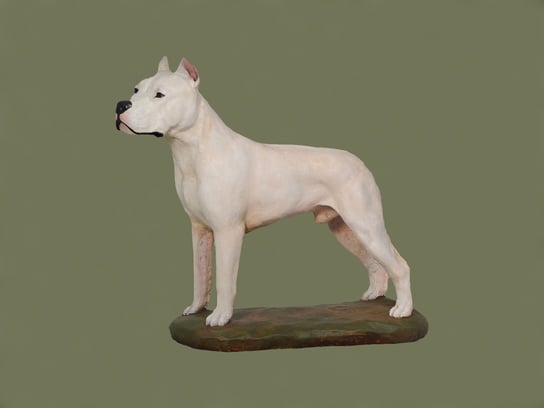 Dog Argentyński Malowana statuetka Posąg Figurka Inna marka