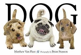 Dog Fleet Matthew