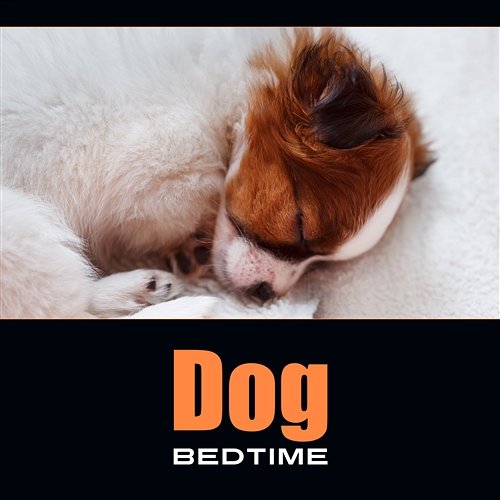 Dog Bedtime – Lullaby for Your Pet, Pure Sleeping & Tranquility Sound for Dogy Ear Cats Music Zone
