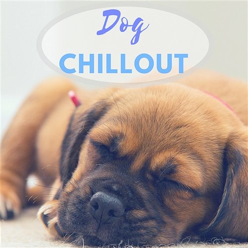 Dog Chillout – Relaxing Music for Dogs & Puppies, Nature Sounds for Relaxation, Calming Instrumental Dog Chillout