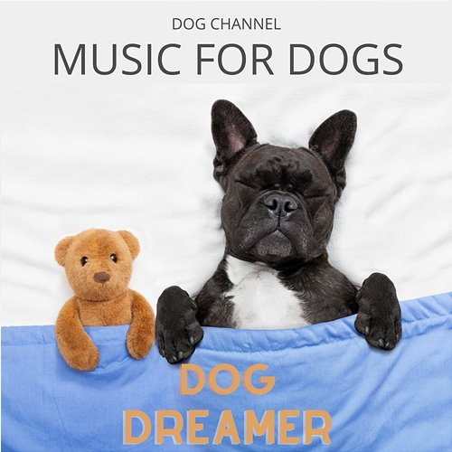 Dog Dreamer Dog Channel