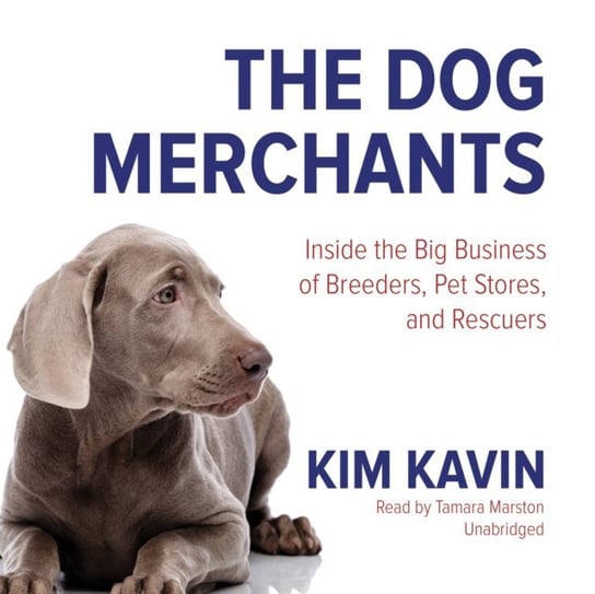 Dog Merchants Kavin Kim
