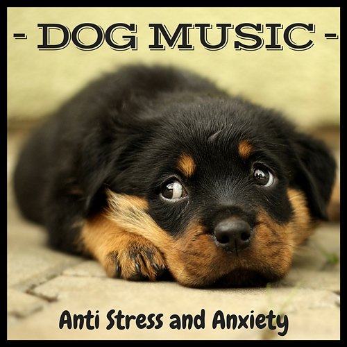 Dog Music – Calm Background Music for Sleeping, Rest, Relaxing Piano Instrumental, Anti Stress and Anxiety Dog’s Music