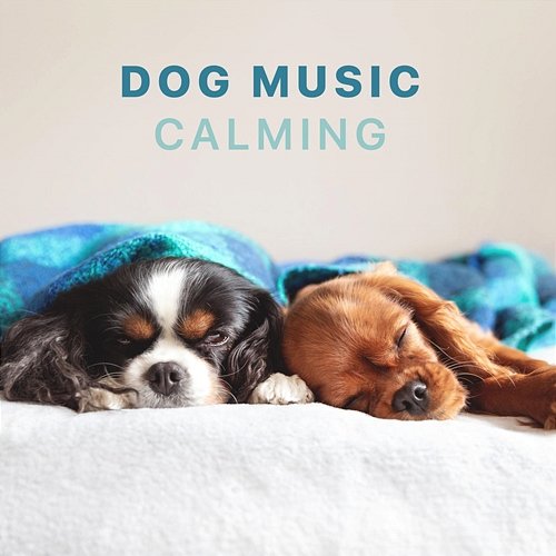 Dog Music - Calming Songs for Dogs and Puppies Sleepy Dogs