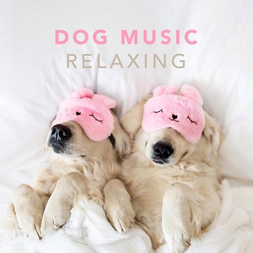 Dog Music - Relaxing Music for Dogs and Puppies Sleepy Dogs, Dog Music Club