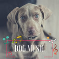 Dog Music – Relaxing Sounds for Puppies and Pets, Calm Your Companion with Nature Sounds Therapy Dog Wellness