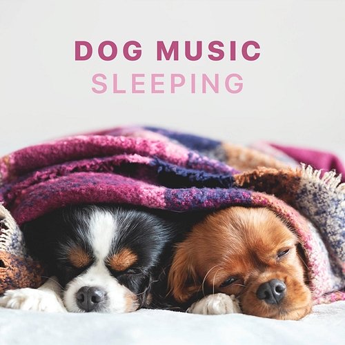 Dog Music - Sleeping Songs for Dogs and Puppies Sleepy Dogs