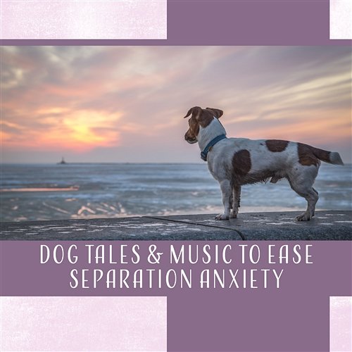 Dog Tales & Music to Ease Separation Anxiety: Antistress Therapy, Audio Treatment for Animals, Positive Stimulation, Pet Care Pet Relax Academy