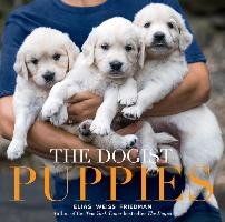 Dogist Puppies, The Friedman Elias Weiss