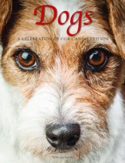 Dogs: A Celebration of our Canine Friends Tom Jackson