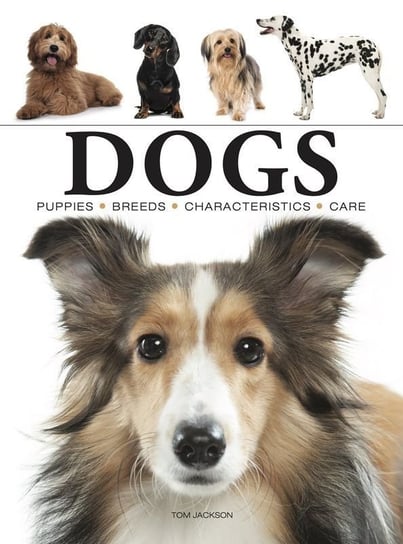 Dogs Jackson Tom