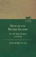 Dogs Of The British Islands. The Setters.Gordon And Irish. Walsh John Henry