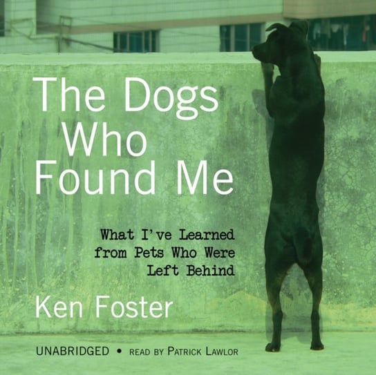 Dogs Who Found Me Foster Ken