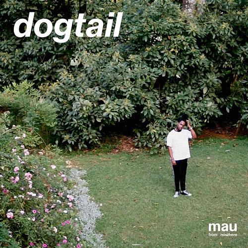 Dogtail mau from nowhere