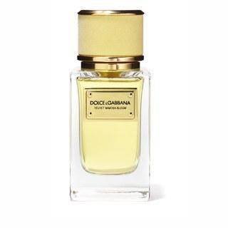 Dolce & Gabbana, Velvet Mimosa Bloom, woda perfumowana, 50 ml Dolce & Gabbana