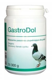 Dolfos GastroDol 300g Dolfos