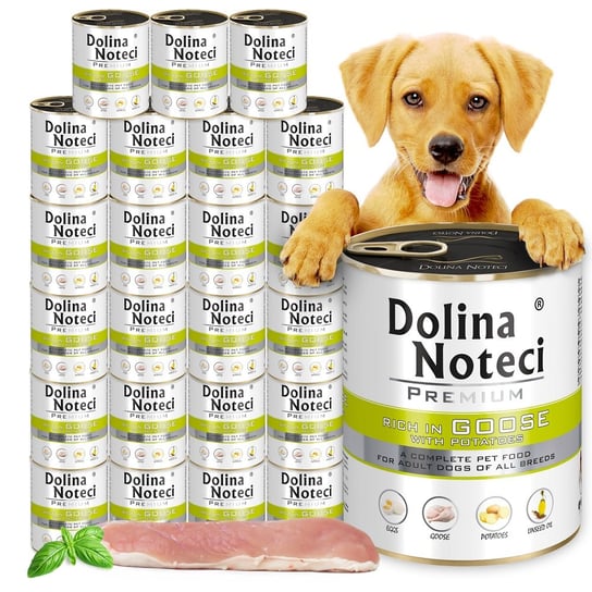 Dolina Noteci Premium natvoer voor honden, kip, glutenvrij, 10 x 500 g