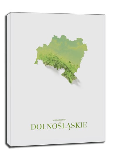 Dolny Śląsk mapa kolorowa - obraz na płótnie 20x30 / AAALOE Inna marka