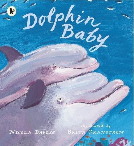 Dolphin Baby Davies Nicola