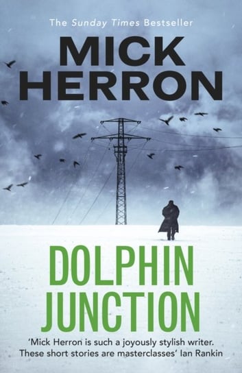 Dolphin Junction Mick Herron