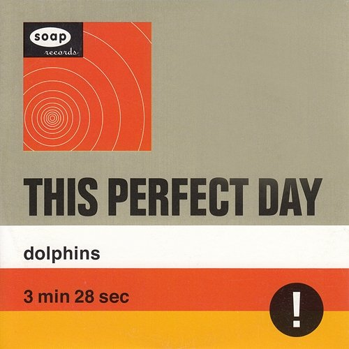 Dolphins This Perfect Day
