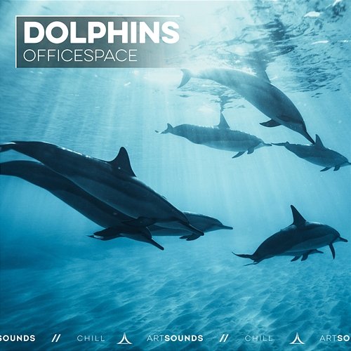 Dolphins OFFICESPACE, Artsounds Chill