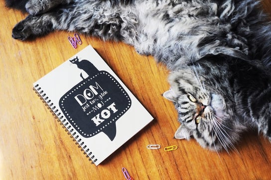 Dom jest tam, gdzie mój kot, notatnik dla kociarza z kotem, notes, Sowia Aleja Inna marka
