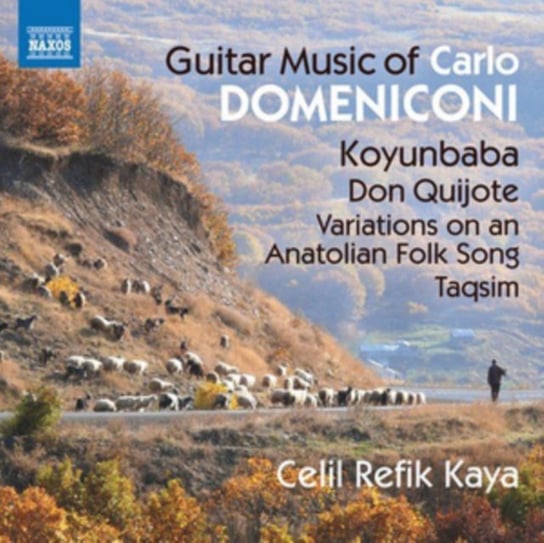 Domeniconi: Guitar Music Refik-Kaya Celil