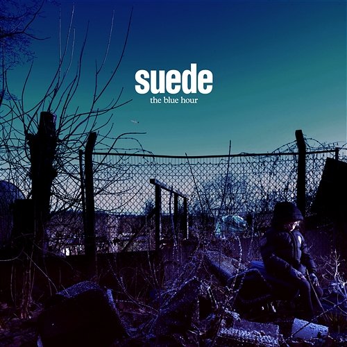 Don't Be Afraid If Nobody Loves You Suede