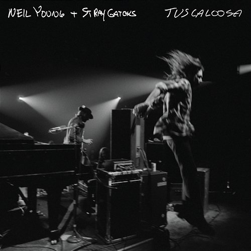 Don't Be Denied Neil Young & Stray Gators