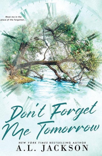 Don't Forget Me Tomorrow (Alternate Cover) A.L. Jackson Books, Inc.