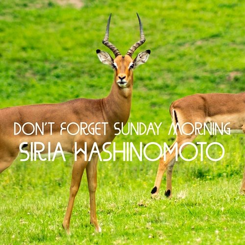 Don't Forget Sunday Morning Siria Hashinomoto
