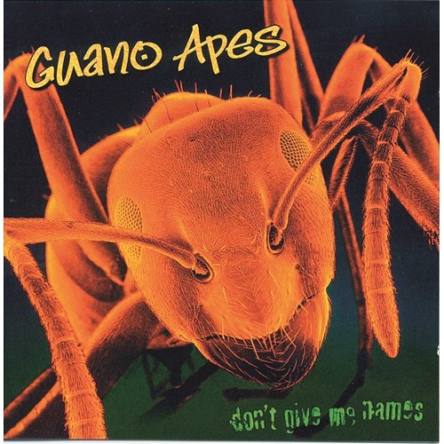 Don't Give Me Names Guano Apes