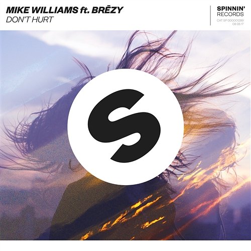 Don't Hurt Mike Williams feat. Brezy