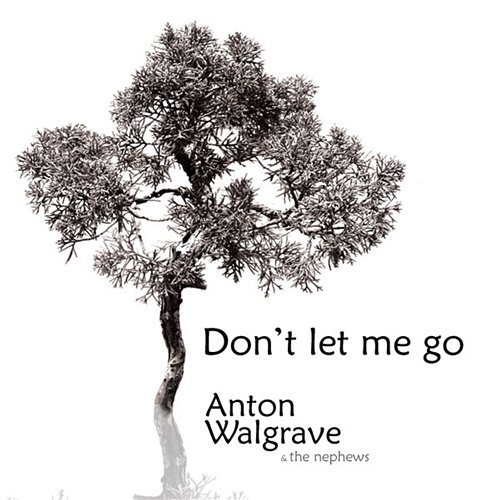 Don't Let Me Go Anton Walgrave