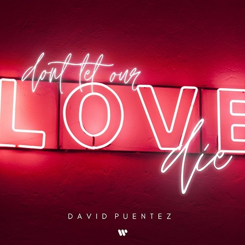 Don‘t Let Our Love Die David Puentez