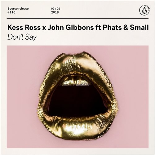 Don't Say Kess Ross x John Gibbons
