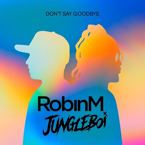 Don't Say Goodbye Robin M & Jungleboi