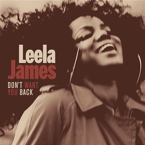 Don't Want You Back Leela James