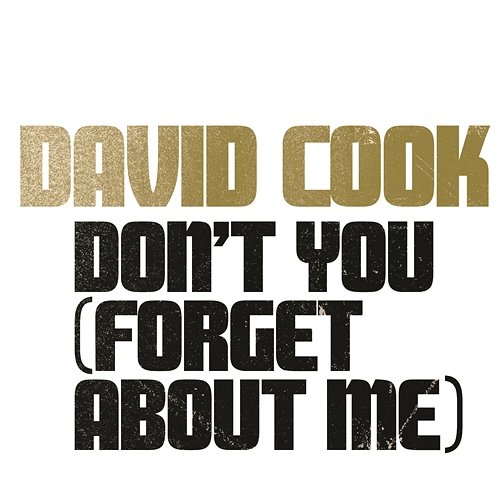 Don't You (Forget About Me) David Cook