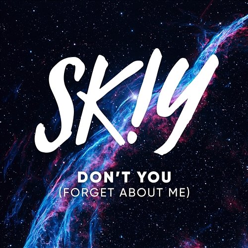 Don't You (Forget About Me) SKIY