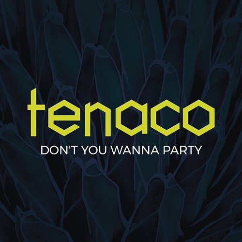 Don't You Wanna Party TENACO