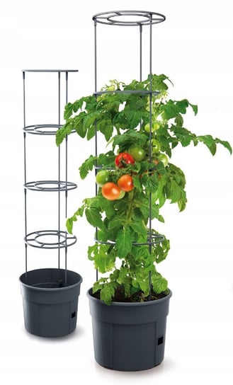 Doniczka do uprawy pomidorów Prosperplast PROSPERPLAST